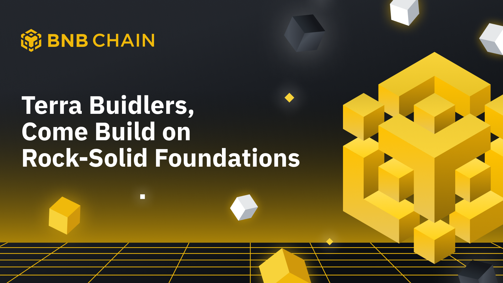 Binance предложили сотрудничество проектам на блокчейне Terra