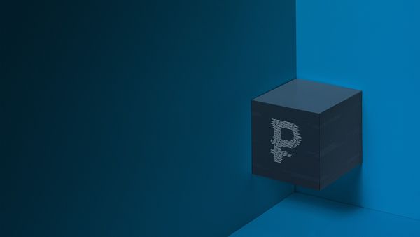 В Госдуме предложили заменить фиатный рубль цифровым