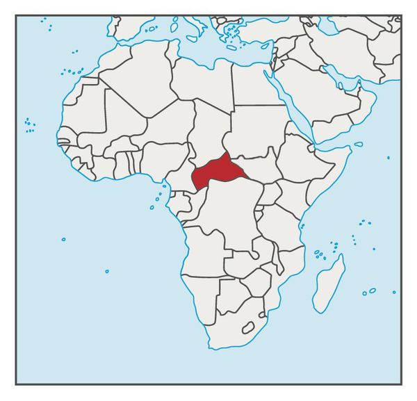 Центральноафриканская Республика легализовала Bitcoin