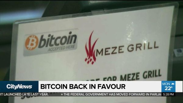 Как перекусить в 2011 году на $10 000 с помощью BTC